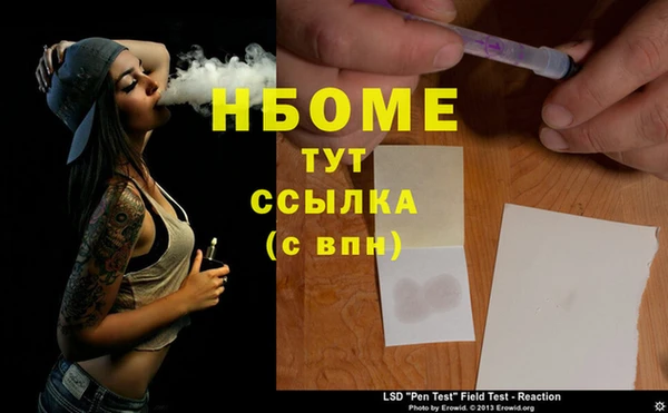 ПСИЛОЦИБИНОВЫЕ ГРИБЫ Осинники