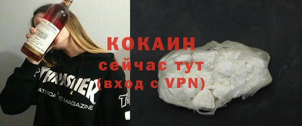 хмурый Арсеньев
