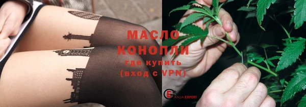 хмурый Арсеньев