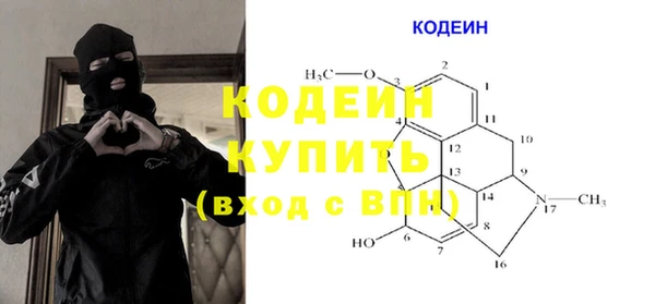 хмурый Арсеньев