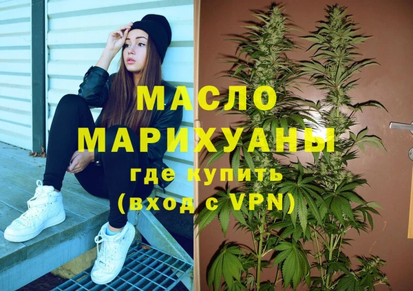 хмурый Арсеньев