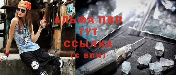 хмурый Арсеньев