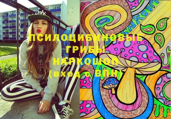 дживик Армянск
