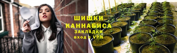 ПСИЛОЦИБИНОВЫЕ ГРИБЫ Осинники