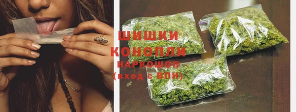 хмурый Арсеньев