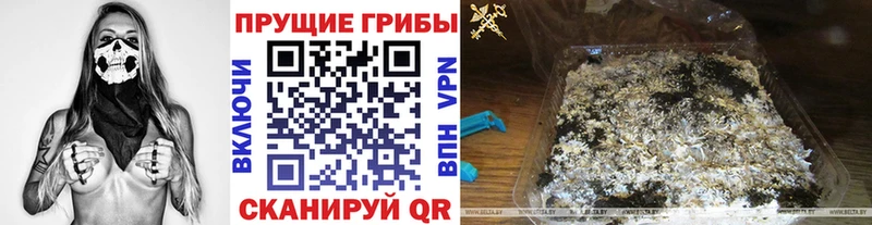 Псилоцибиновые грибы мухоморы  Суздаль 