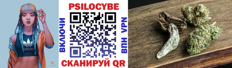Галлюциногенные грибы Psilocybe Суздаль