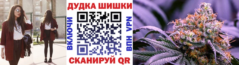 где купить наркоту  Суздаль  Канабис Bruce Banner 